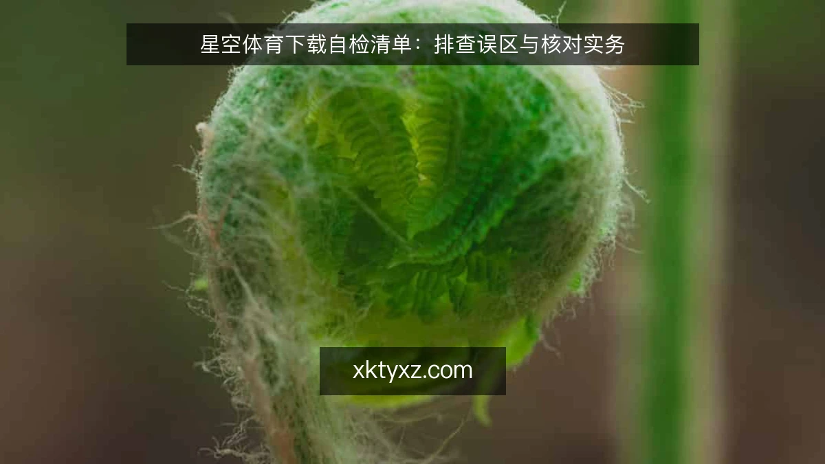 星空体育下载自检清单：排查误区与核对实务