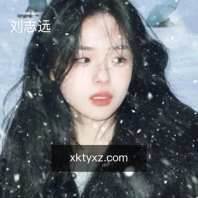 刘志远